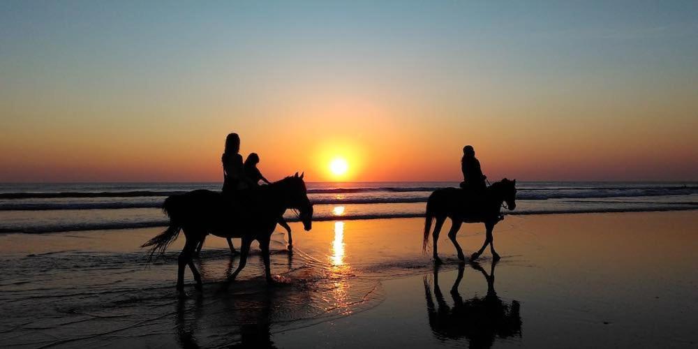 Abdessamad 1 * Essaouira